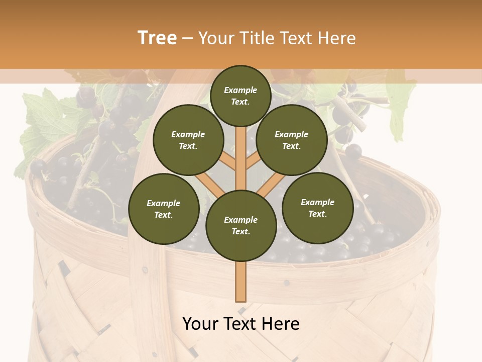 Plant Mature Currants PowerPoint Template