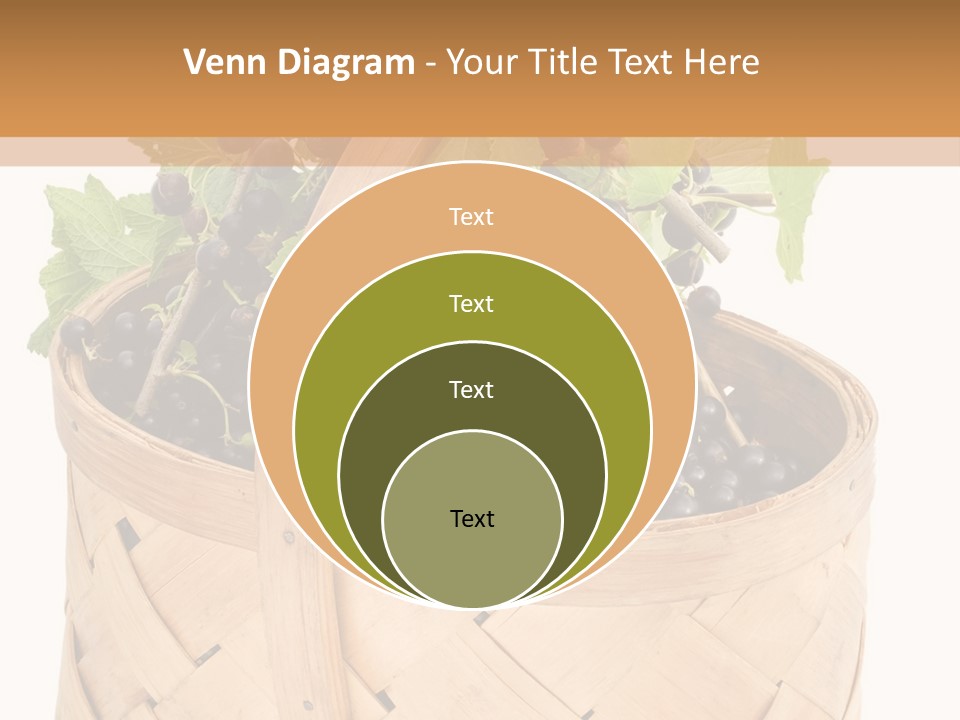 Plant Mature Currants PowerPoint Template