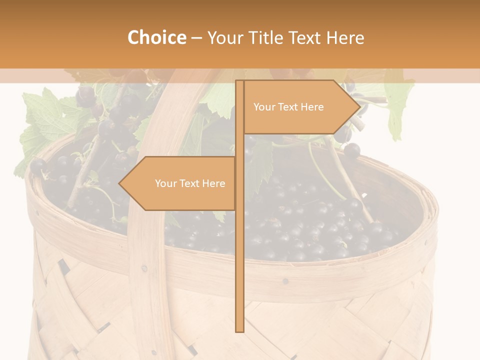 Plant Mature Currants PowerPoint Template