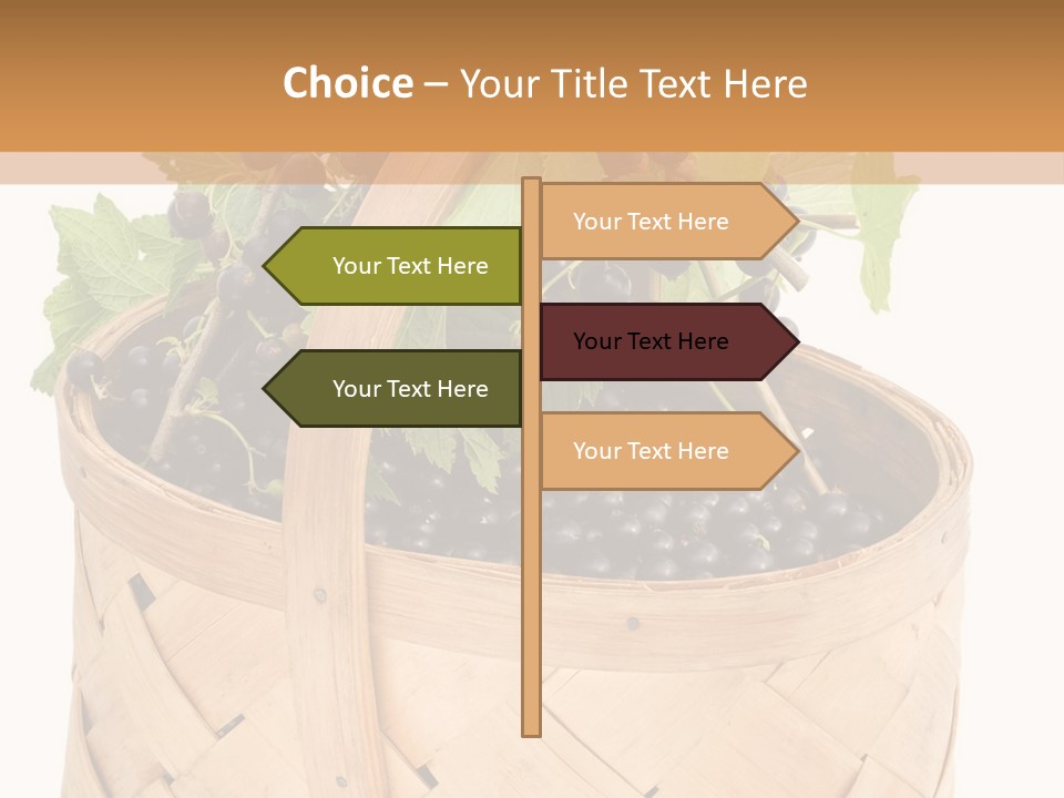 Plant Mature Currants PowerPoint Template