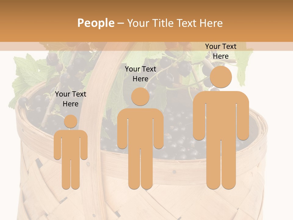 Plant Mature Currants PowerPoint Template