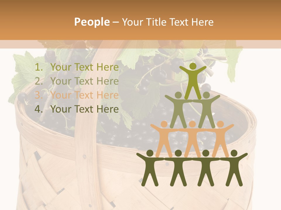 Plant Mature Currants PowerPoint Template