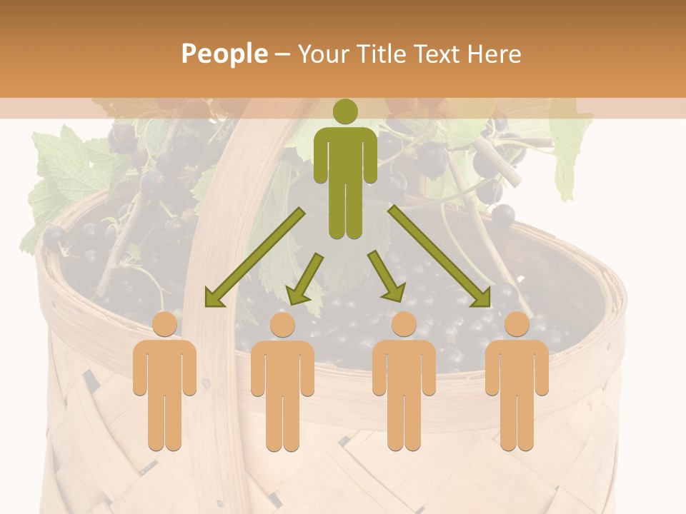 Plant Mature Currants PowerPoint Template