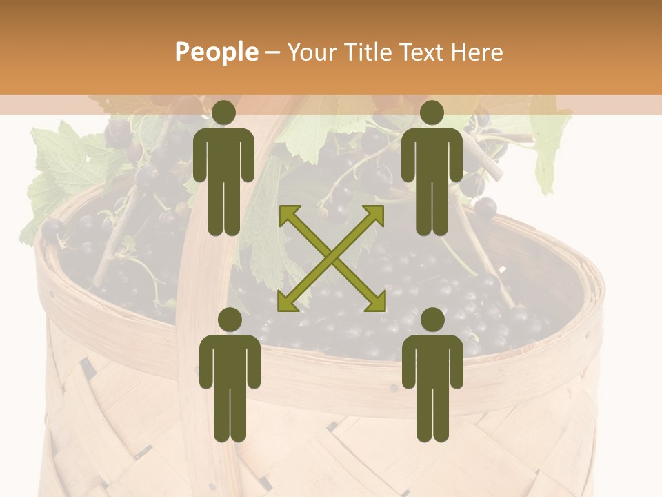 Plant Mature Currants PowerPoint Template