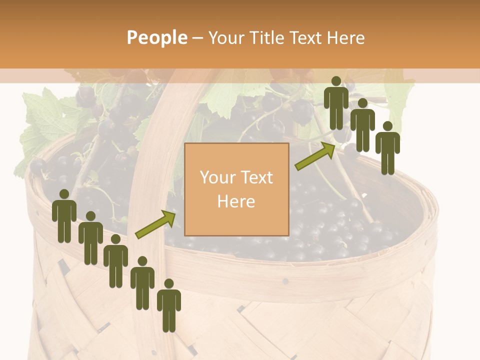 Plant Mature Currants PowerPoint Template