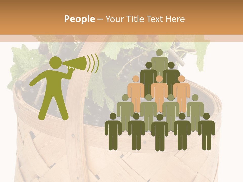 Plant Mature Currants PowerPoint Template