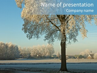 Tree Frost Ice PowerPoint Template