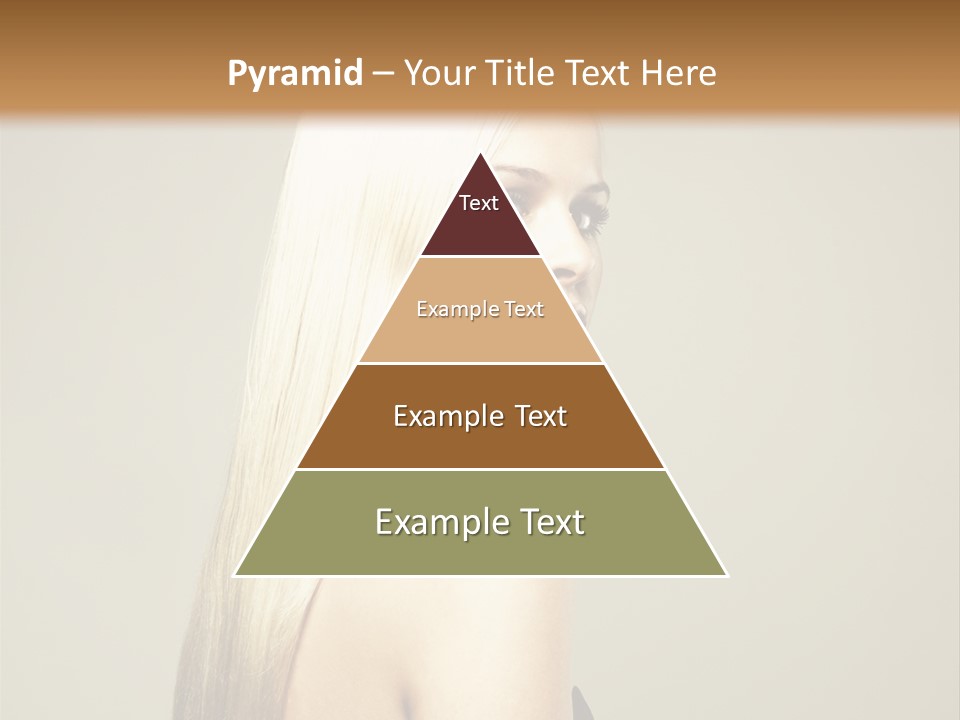 Colour Comb Elegance PowerPoint Template