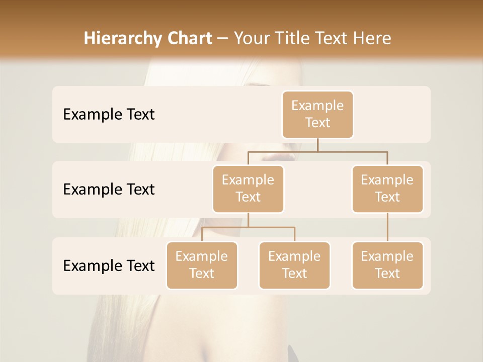 Colour Comb Elegance PowerPoint Template