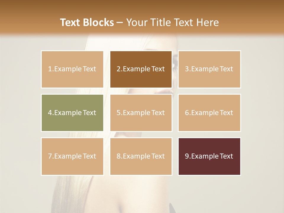 Colour Comb Elegance PowerPoint Template