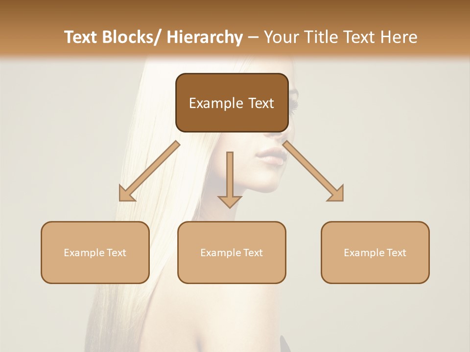 Colour Comb Elegance PowerPoint Template
