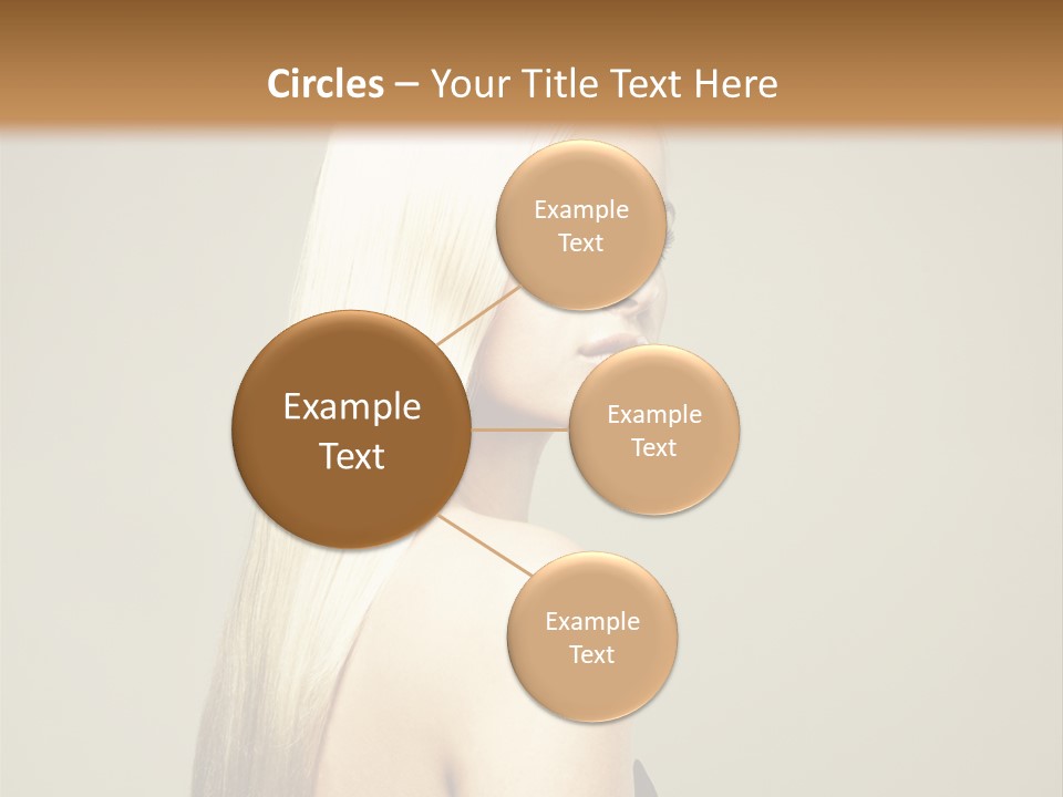 Colour Comb Elegance PowerPoint Template