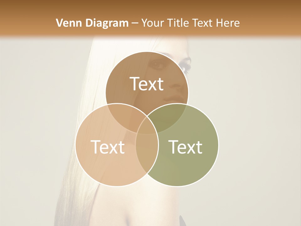 Colour Comb Elegance PowerPoint Template