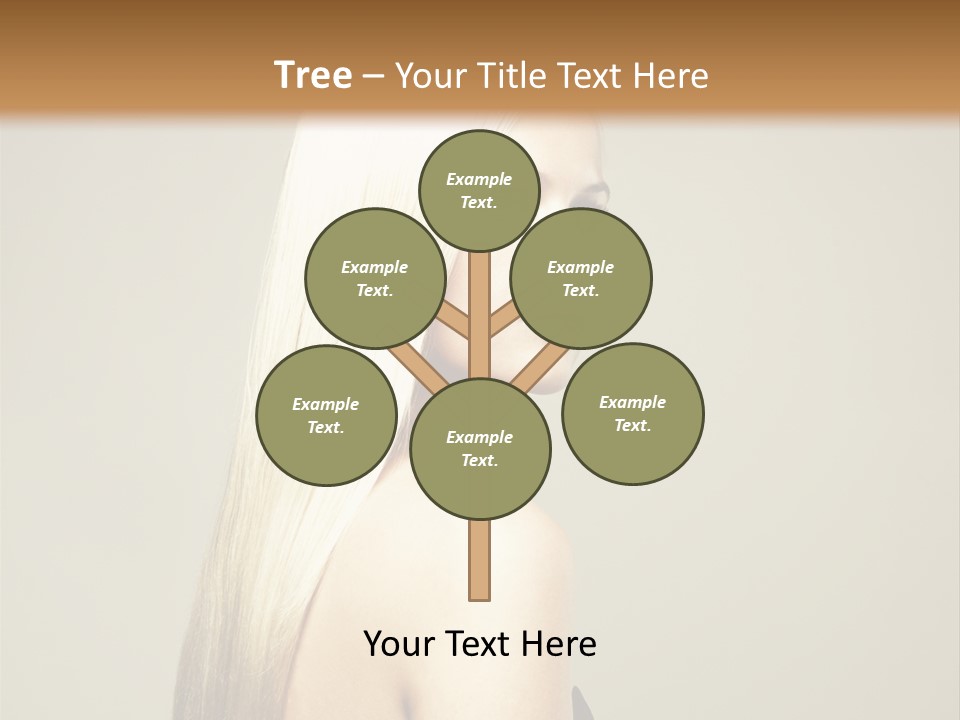 Colour Comb Elegance PowerPoint Template