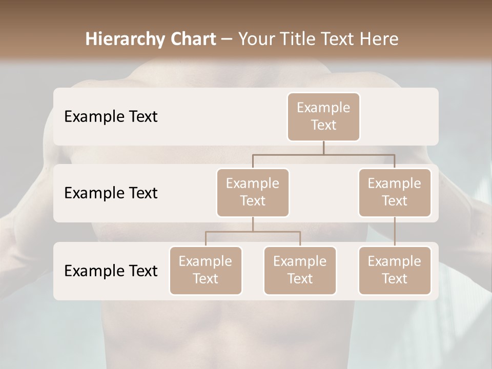 Model Y Unknown PowerPoint Template