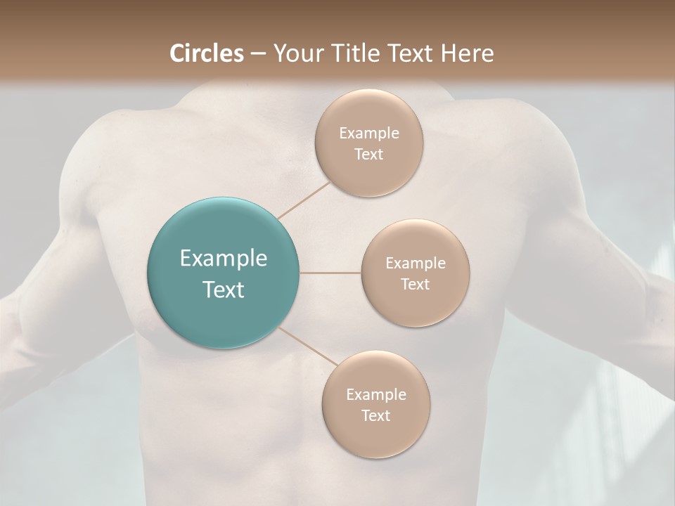 Model Y Unknown PowerPoint Template