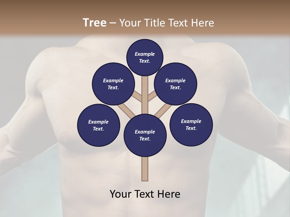 Model Y Unknown PowerPoint Template