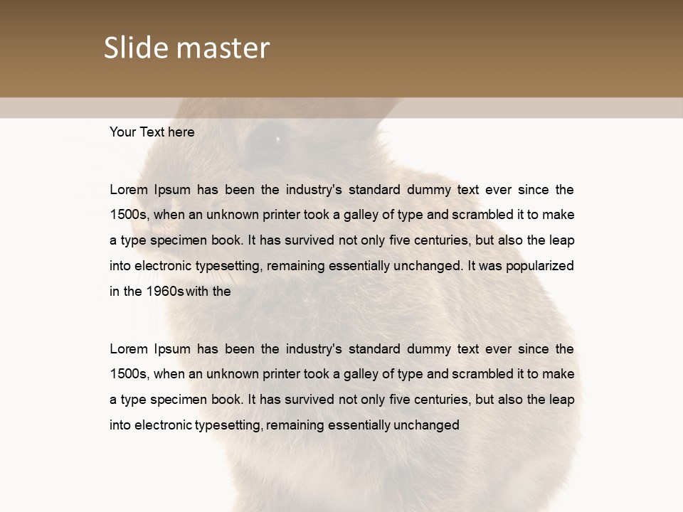 Fluffy Ear Cute PowerPoint Template