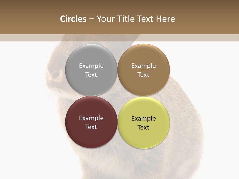 Fluffy Ear Cute PowerPoint Template