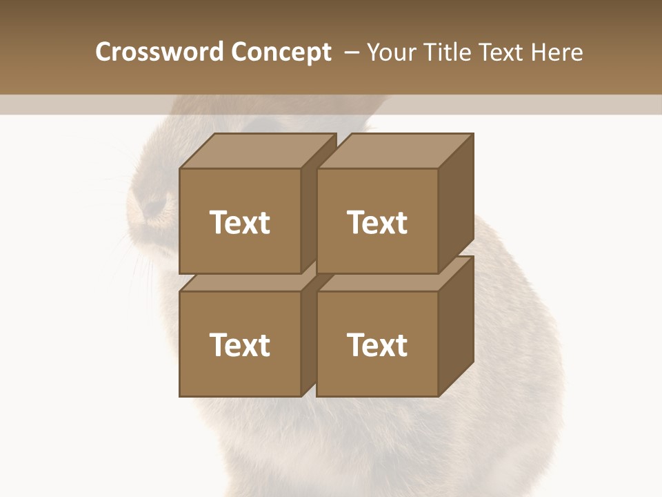 Fluffy Ear Cute PowerPoint Template