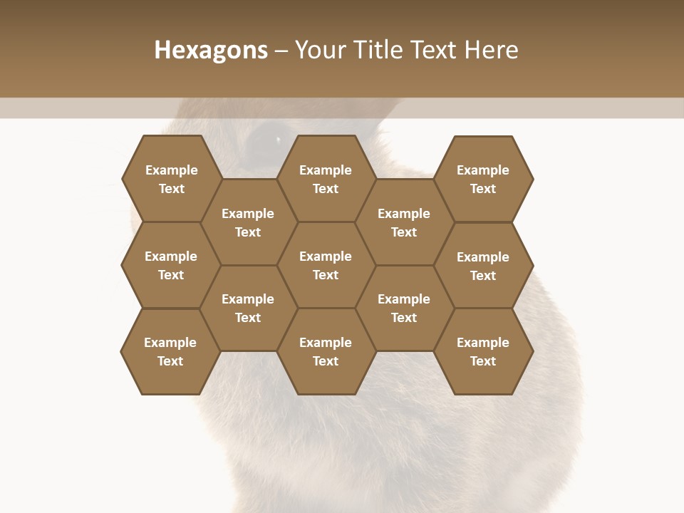 Fluffy Ear Cute PowerPoint Template