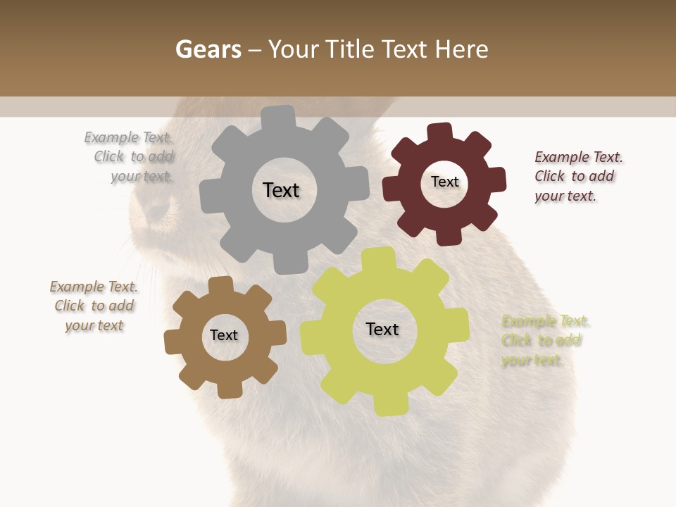 Fluffy Ear Cute PowerPoint Template