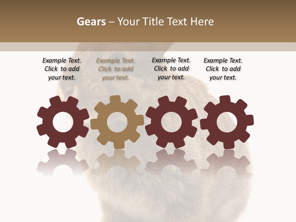 Fluffy Ear Cute PowerPoint Template