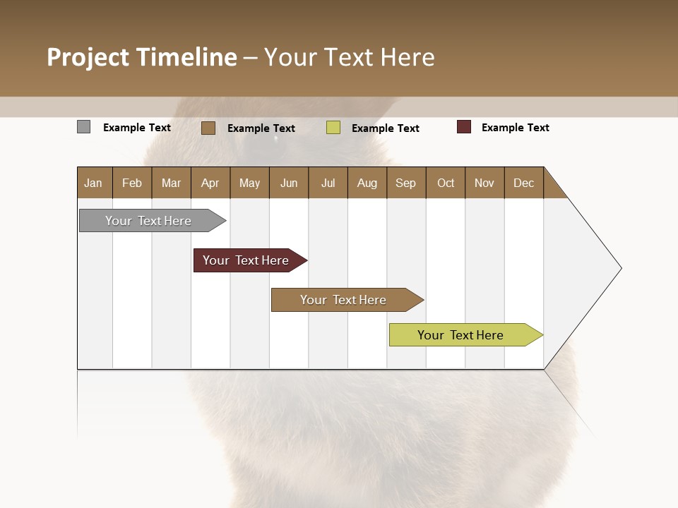 Fluffy Ear Cute PowerPoint Template