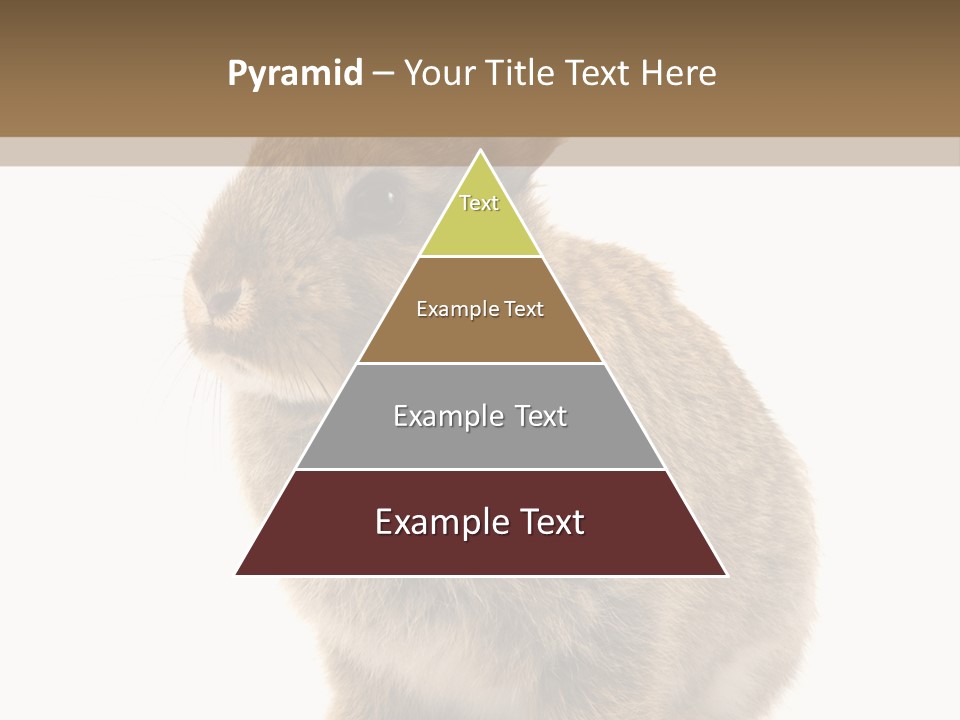 Fluffy Ear Cute PowerPoint Template