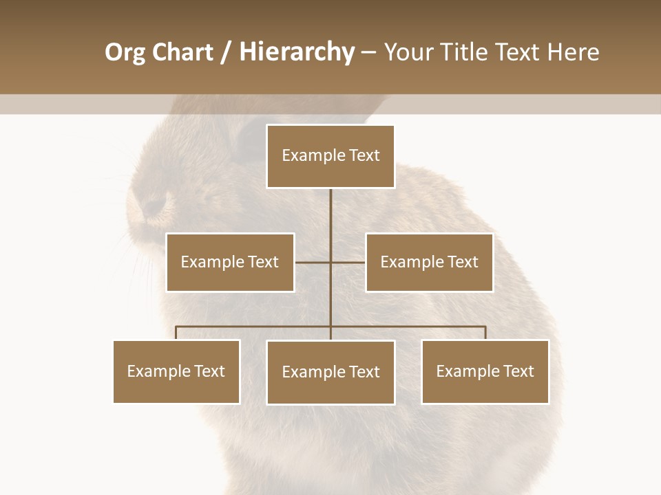 Fluffy Ear Cute PowerPoint Template