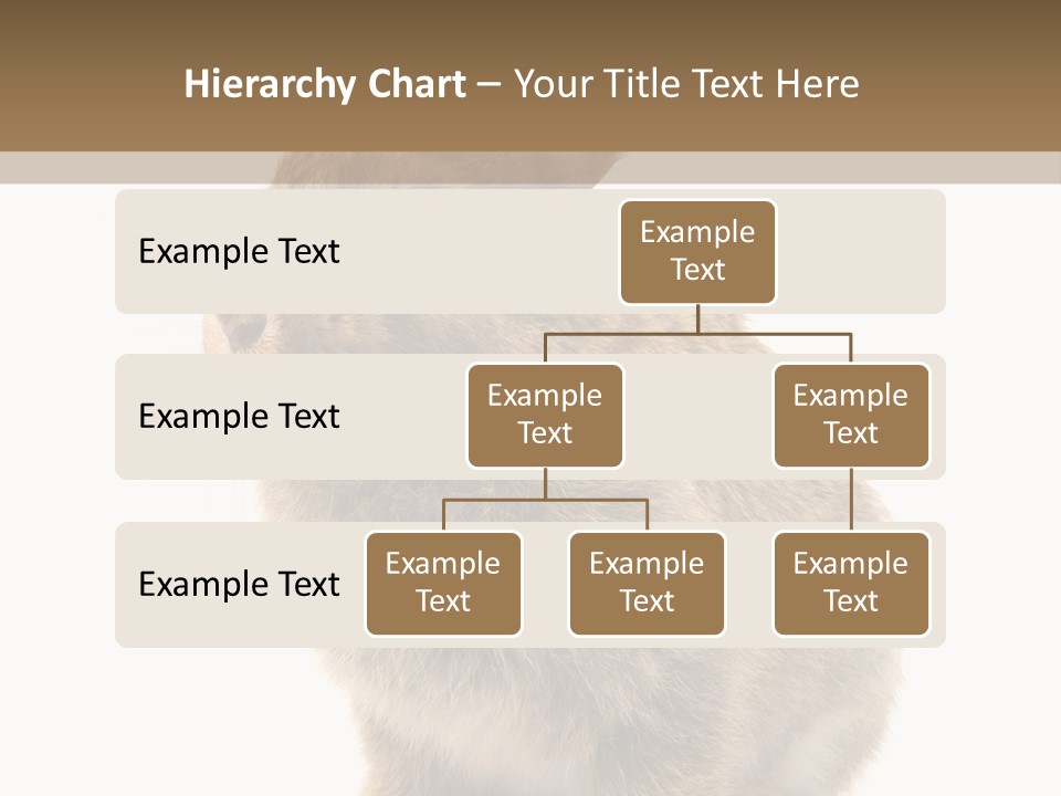 Fluffy Ear Cute PowerPoint Template