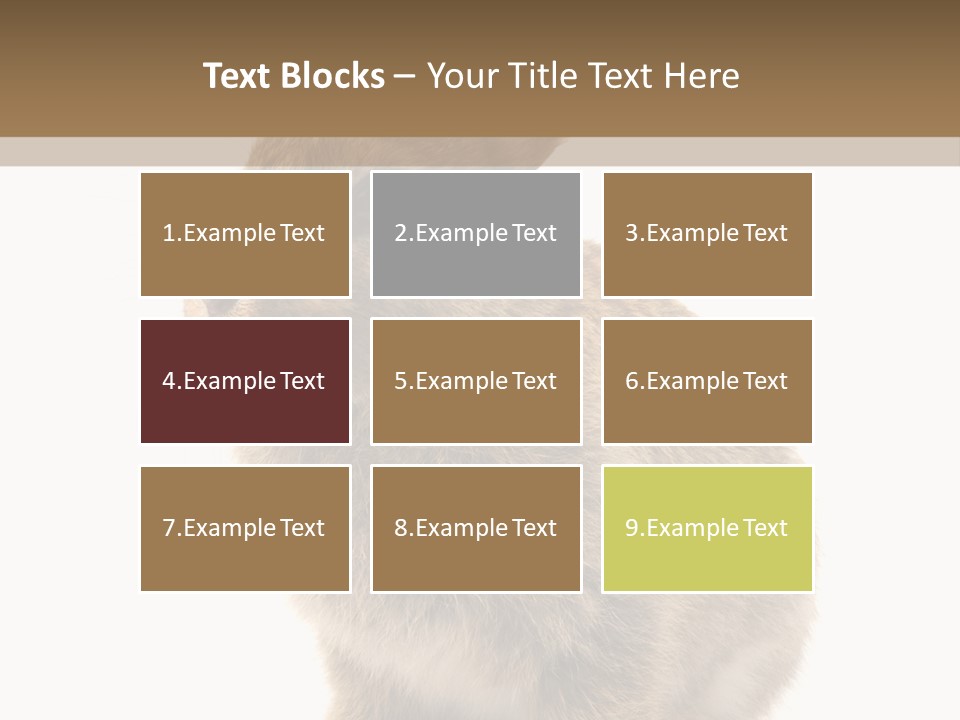 Fluffy Ear Cute PowerPoint Template