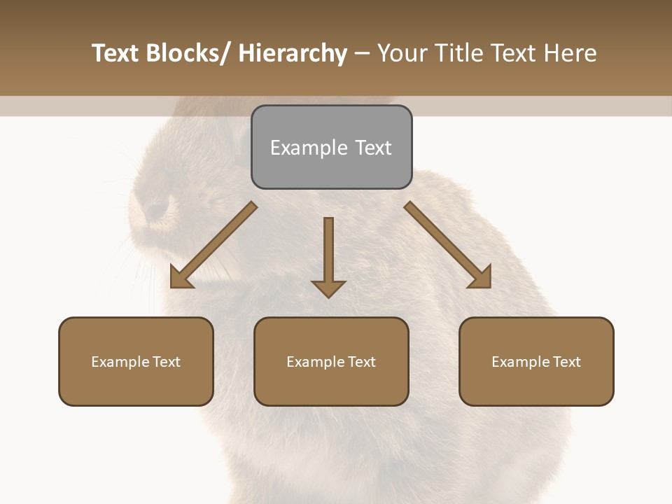 Fluffy Ear Cute PowerPoint Template