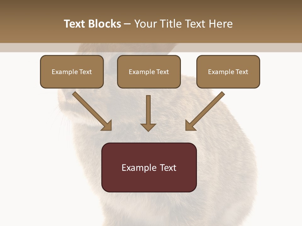 Fluffy Ear Cute PowerPoint Template