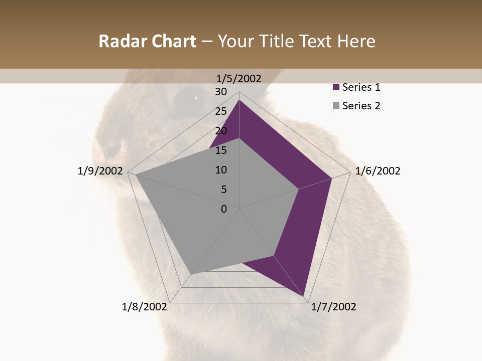 Fluffy Ear Cute PowerPoint Template