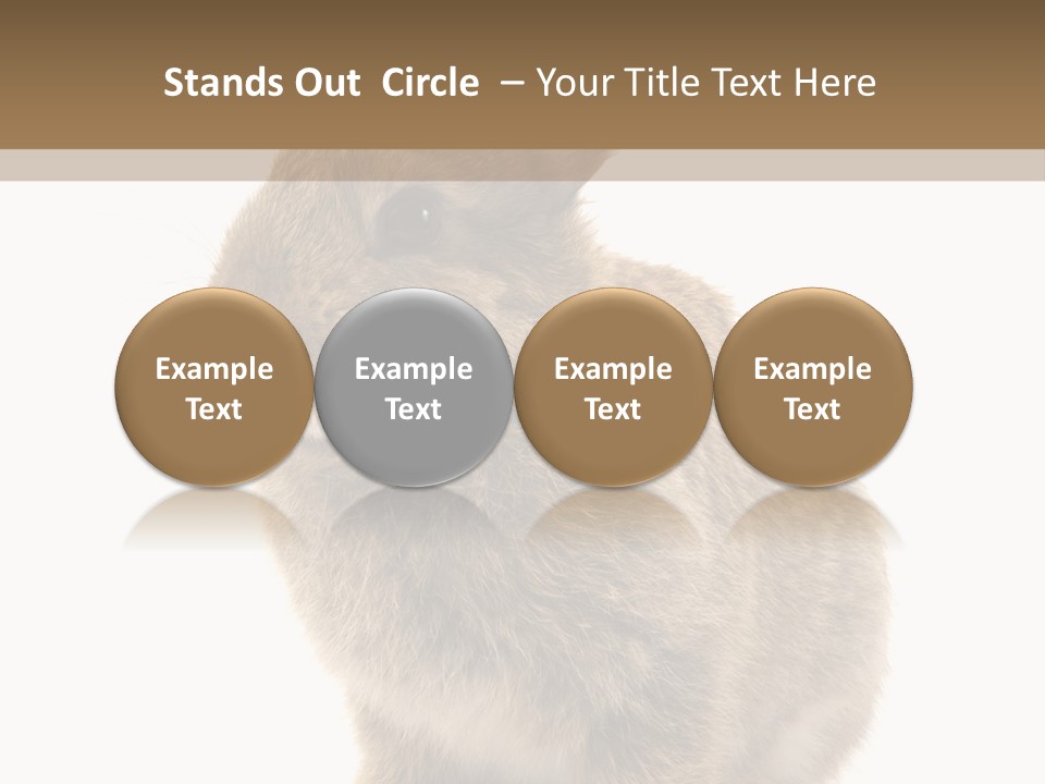 Fluffy Ear Cute PowerPoint Template