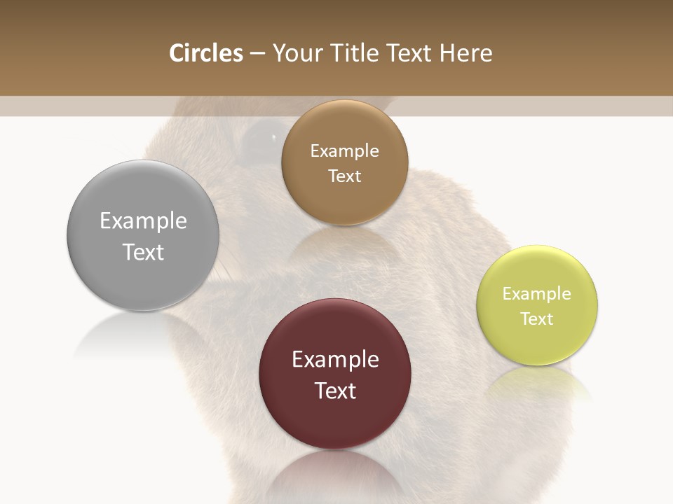 Fluffy Ear Cute PowerPoint Template