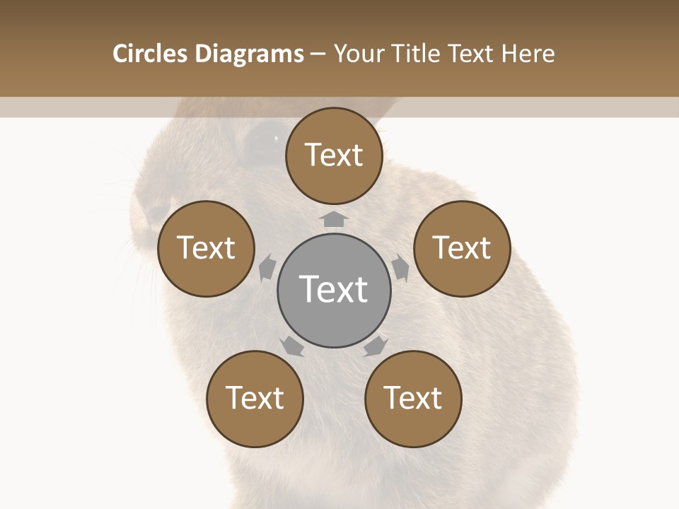 Fluffy Ear Cute PowerPoint Template