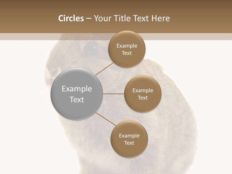 Fluffy Ear Cute PowerPoint Template