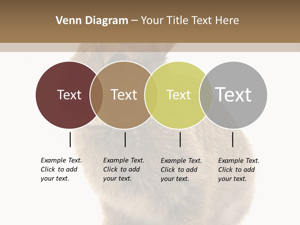 Fluffy Ear Cute PowerPoint Template