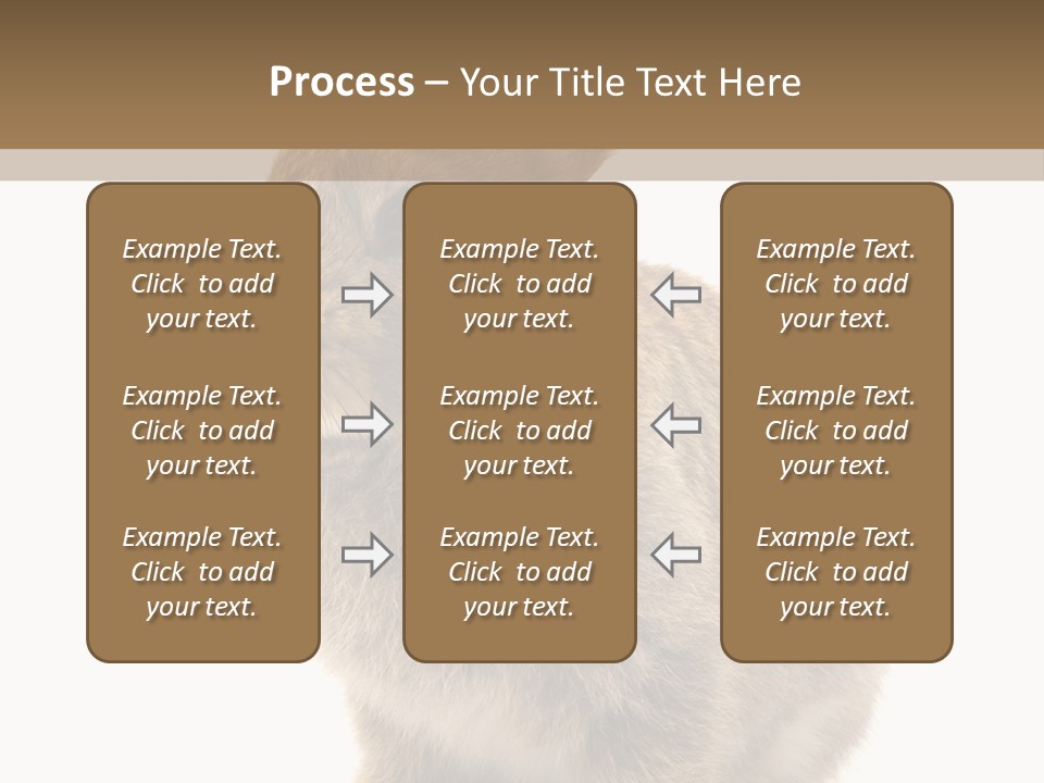 Fluffy Ear Cute PowerPoint Template