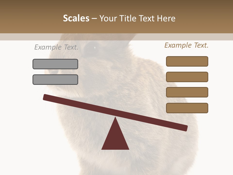 Fluffy Ear Cute PowerPoint Template