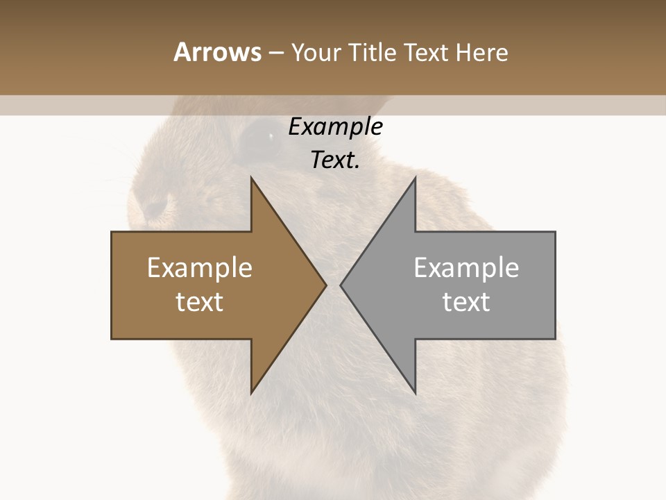 Fluffy Ear Cute PowerPoint Template