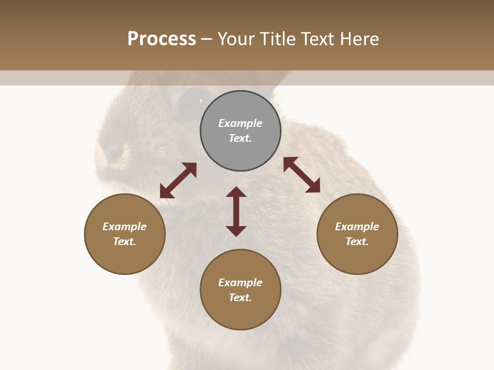 Fluffy Ear Cute PowerPoint Template
