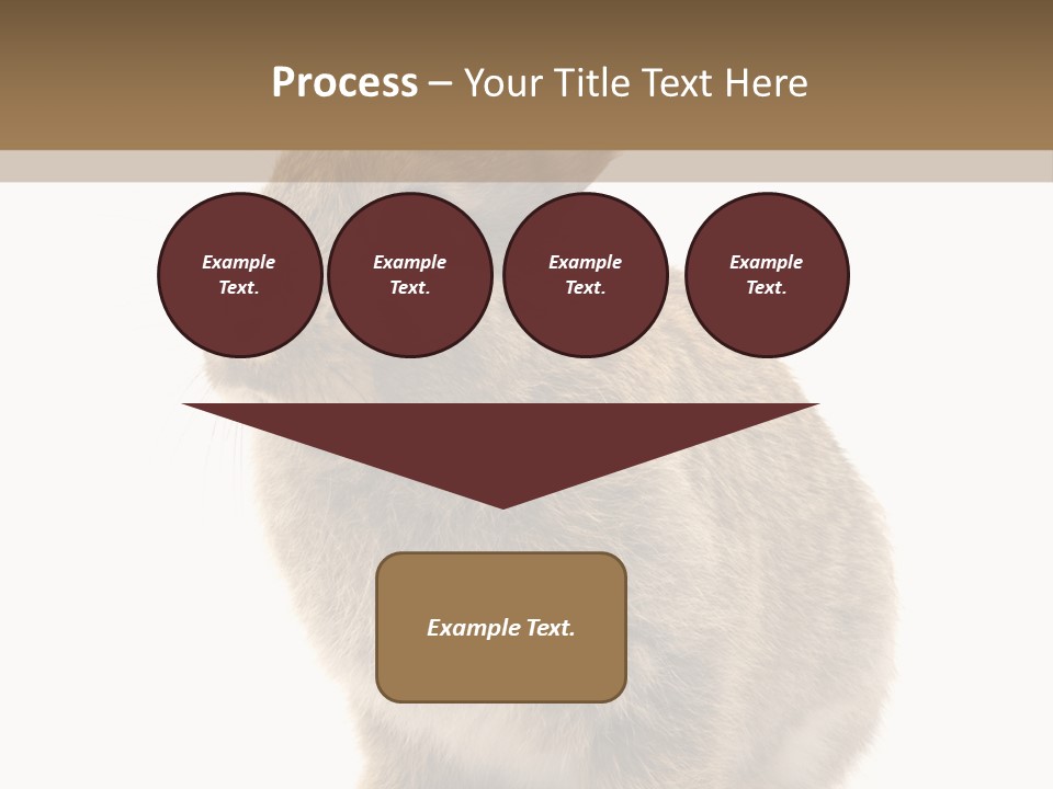 Fluffy Ear Cute PowerPoint Template