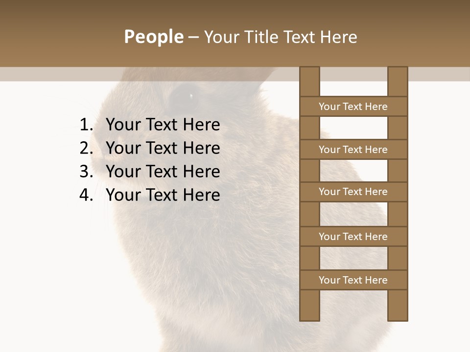 Fluffy Ear Cute PowerPoint Template
