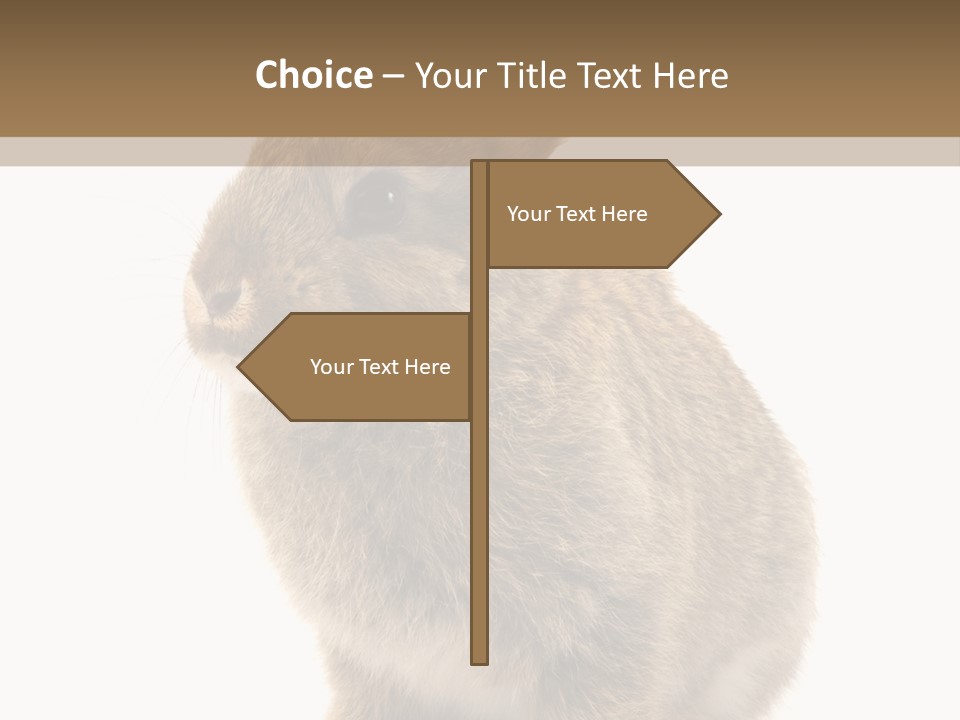 Fluffy Ear Cute PowerPoint Template