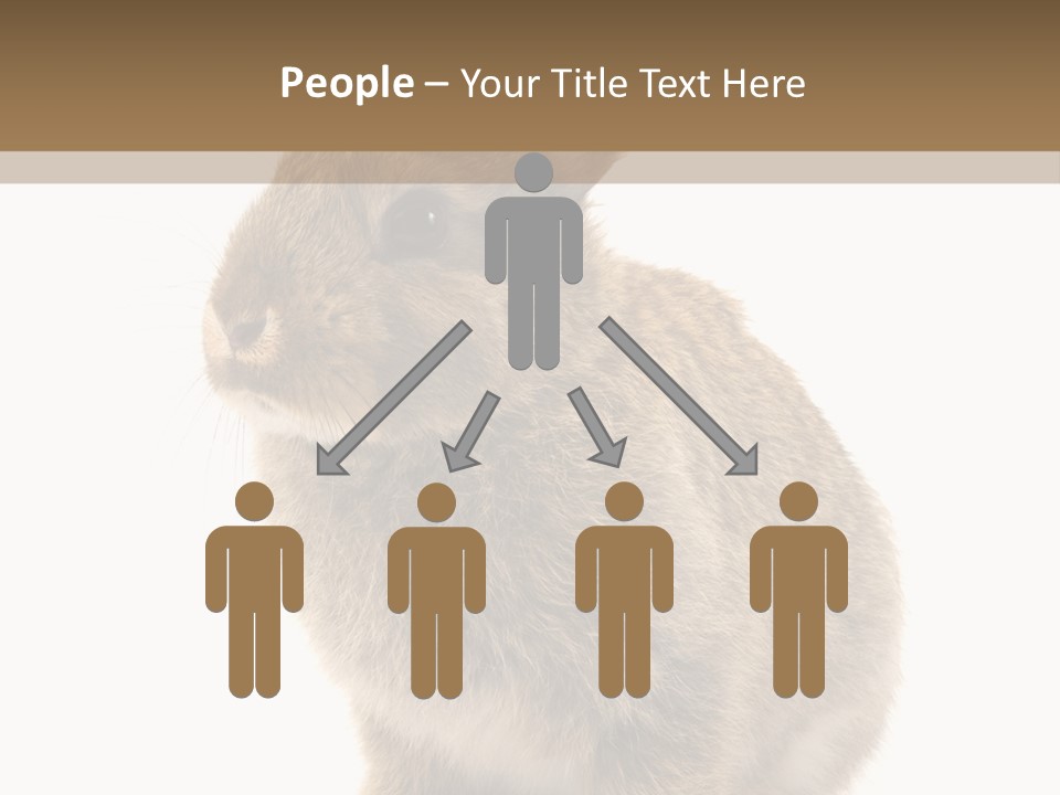 Fluffy Ear Cute PowerPoint Template