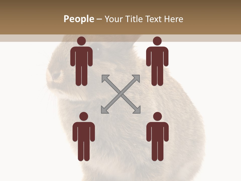Fluffy Ear Cute PowerPoint Template