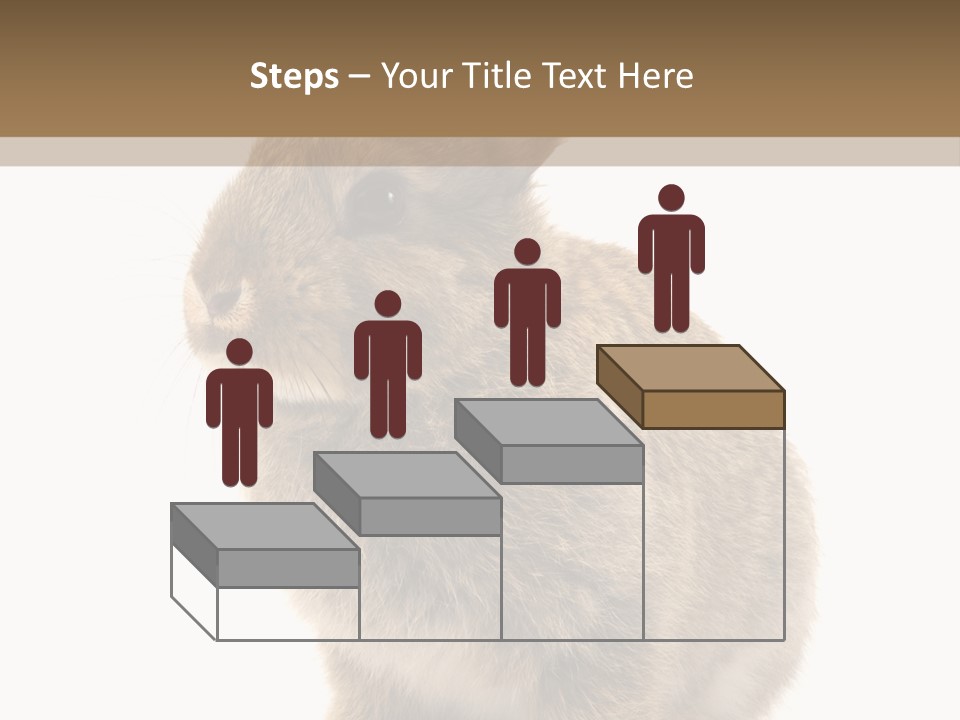 Fluffy Ear Cute PowerPoint Template